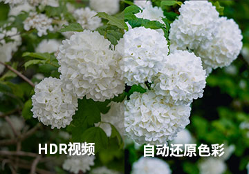 HDR视频发出去太暗怎么办？自动还原色彩的方法超简单