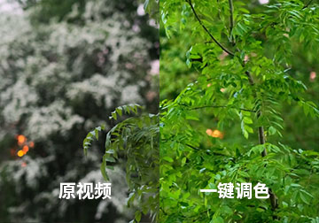 Pocket4视频如何不调参数，直接一键调色实现电影高级感